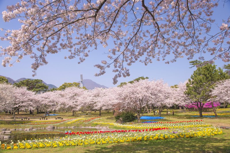 🏞️ 우오미 산 자연공원 (우오미다케 시젠코엔) 이미지 3